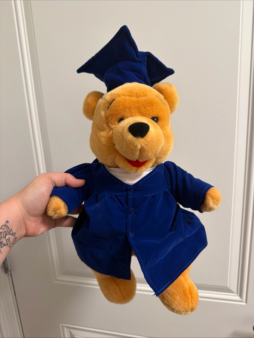 Disney Winnie the Pooh Graduation Stuffed Animal